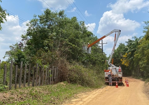 Nova lei  federal permite que cidadão corte árvore por conta própria; entenda