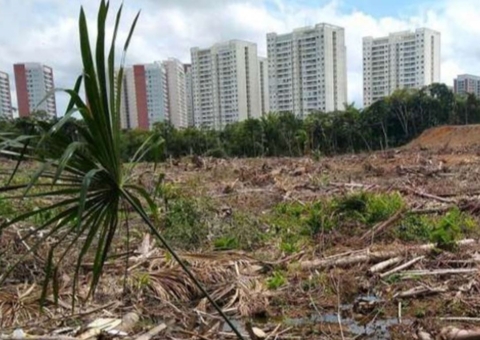 MPAM investiga desmatamento de Área de Preservação Permanente na Ponta Negra