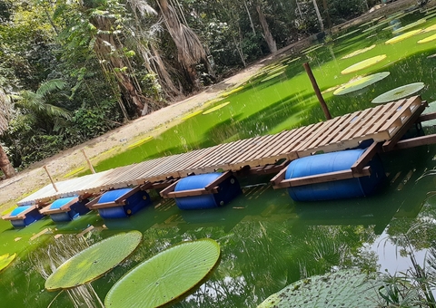 Museu da Amazônia inaugura hoje exposição que traz a arte para floresta