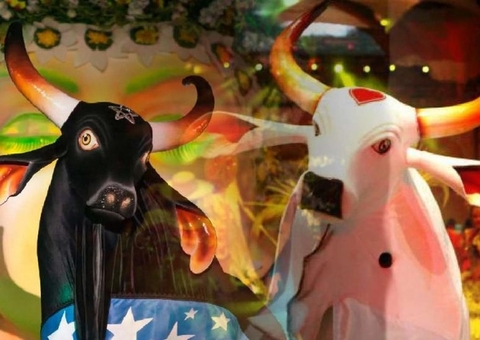 Divulgada ordem de apresentação dos bois Caprichoso e Garantido no 56º Festival de Parintins