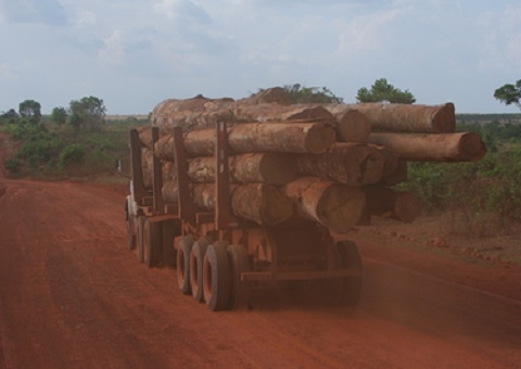 Empresários são denunciados por exportar madeira ilegal do Amazonas para China