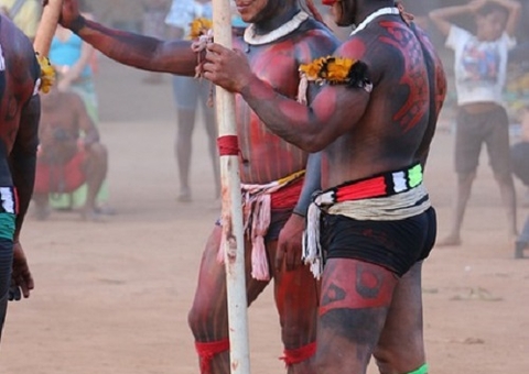 MPF vê indícios de irregularidades em venda de NFTs em terras indígenas no Amazonas