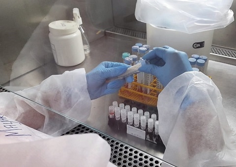 Amazonas registra 5 novos casos de Covid-19 no primeiro dia do ano