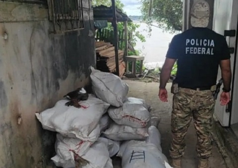PF apreende 1 tonelada de pescado ilegal com ex-vereador no Amazonas