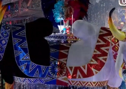 Garantido e Caprichoso flutuam durante desfile da Vila Isabel na Sapucaí; vídeo