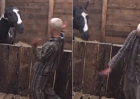 A Fazenda: Cavalo Colorado avança em WL