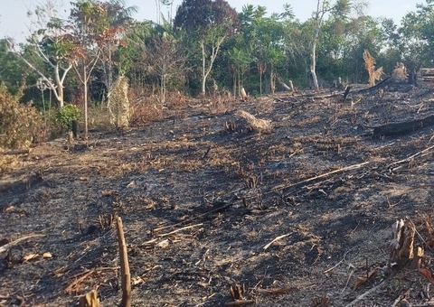 Suspeito é preso após atear fogo em terreno em Manaus