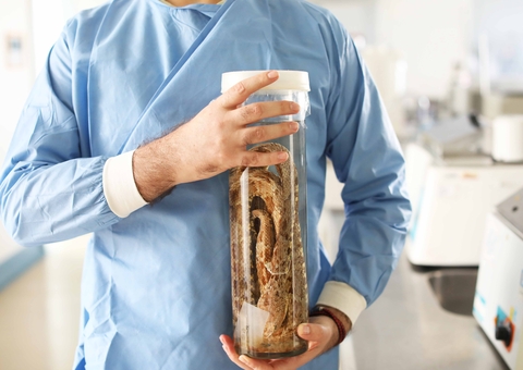 Cientistas do Amazonas buscam avanços no tratamento de envenenamento por serpentes