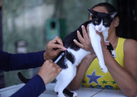 Mais de 262 mil animais são vacinados contra raiva em Manaus