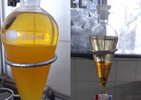 Alunos encontram biodiesel a partir de óleo residual em pesquisa no Amazonas