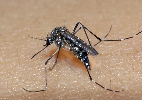 Minas Gerais vai decretar emergência após explosão de casos de dengue
