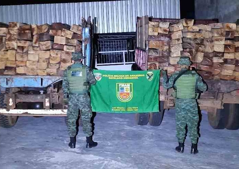 Polícia apreende 32 metros cúbicos de madeira serrada em Manacapuru