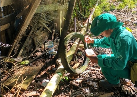 Amazonas tem mais de 2,5 mil casos confirmados de dengue
