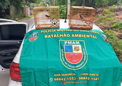 Polícia apreende cerca de 13 metros cúbicos de madeira e pássaros no Amazonas