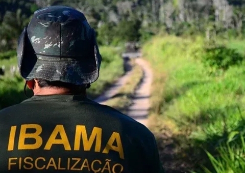 Com vagas para Manaus, Ibama abre inscrições para seleção de estagiários