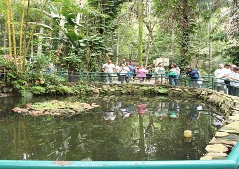 Inpa reabre para visitação do público na Semana das Crianças