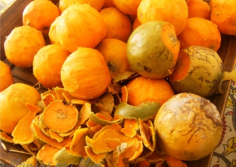 Fruto da Amazônia pode substituir óleo de Palma