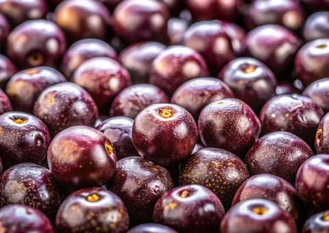 Açaí é reconhecido por lei como fruta nacional do Brasil