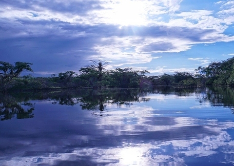 Militares da FAB são encontrados após terem se perdido na floresta no Amazonas