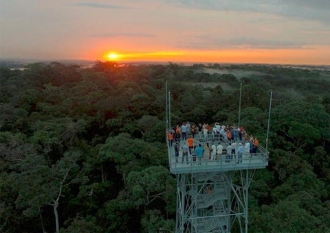 Musa lança promoção de visita turística a R$ 10
