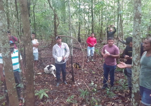 Crianças indígenas são encontradas desnutridas após quase 1 mês desaparecidas no Amazonas