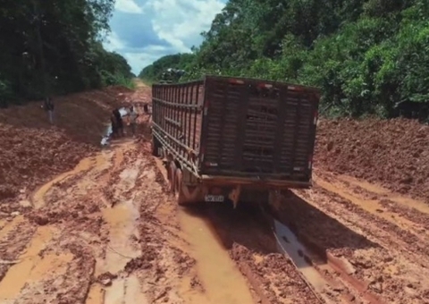Em reunião com Bolsonaro, Wilson Lima trata sobre reconstrução de trecho da BR-319