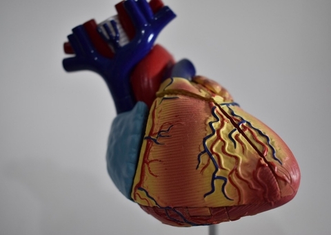 Morre homem que recebeu primeiro transplante de coração de porco 