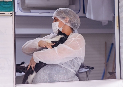 Estádio Carlos Zamith oferecerá castração gratuita para 200 animais