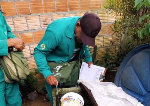 Amazonas confirma 169 casos de dengue e 1 de chikungunya