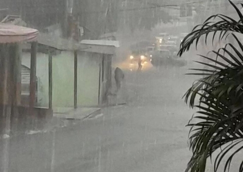 Manaus registra nove ocorrências causadas pela chuva neste sábado