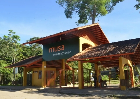 Crianças terão entrada gratuita no Musa durante feriado em Manaus