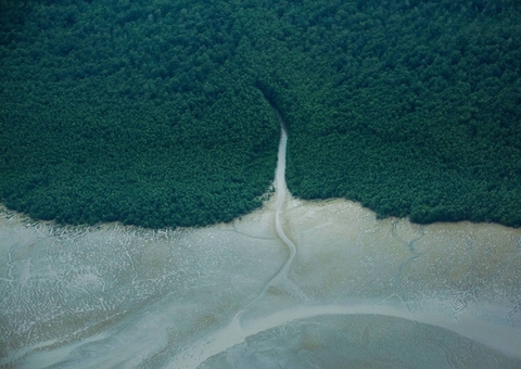 Licença para explorar Foz do Amazonas só deve sair após março, diz Ibama