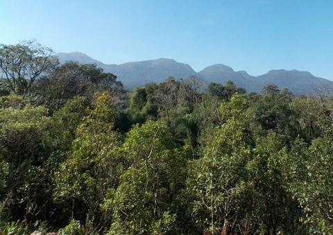 Unesco e Amazonas lançam plano de ação para Amazônia Central