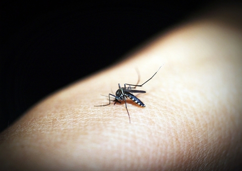 Dia D de mobilização nacional contra a dengue acontece neste sábado