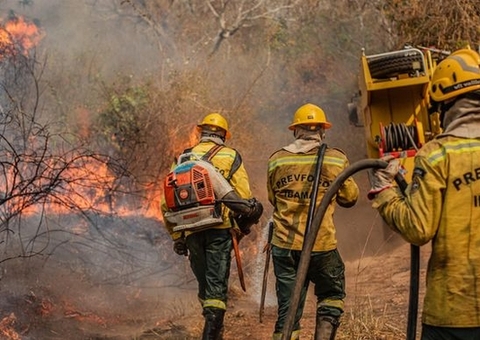 Amazonas tem queda de 93% nas queimadas no mês de julho
