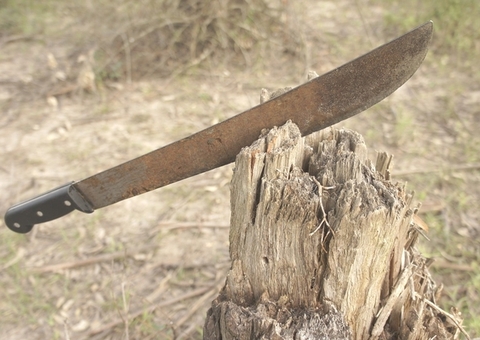 Homem é assassinado a mando da ex-mulher e suspeito do crime é espancado até a morte no AM