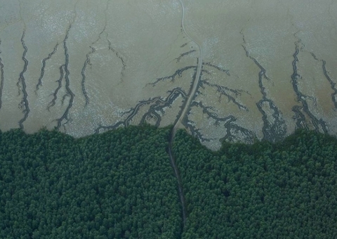 Petrobras e Ibama agendam simulado decisivo para perfuração na Foz do Amazonas