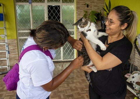 Campanha antirrábica 2025 começa nesta quarta em Manaus