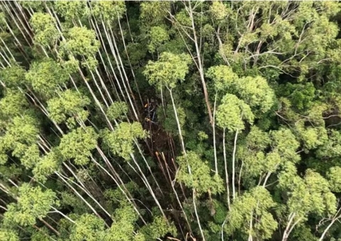 Corpos de vítimas de acidente de helicóptero são retirados de área de mata