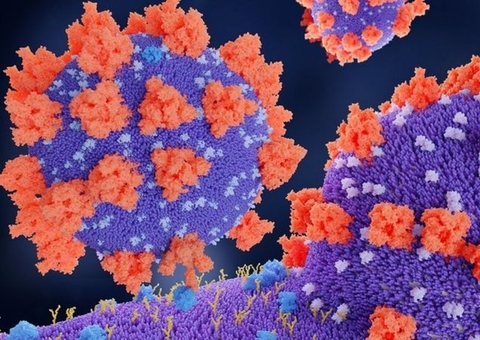 Anvisa proibe comercialização de um tipo de autoteste para covid