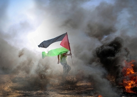 Ataque em Gaza durante distribuição de alimentos deixa um morto e quase 50 feridos