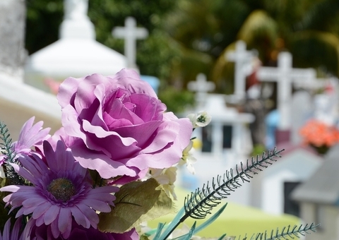 Interdições e linhas extras: Veja esquema de trânsito e transporte no Dia de Finados em Manaus