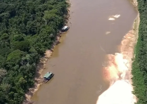 Comissão no Senado pede Forças Armadas no Vale do Javari