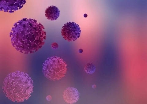 Cientistas investigam se Ômicron surgiu em roedores