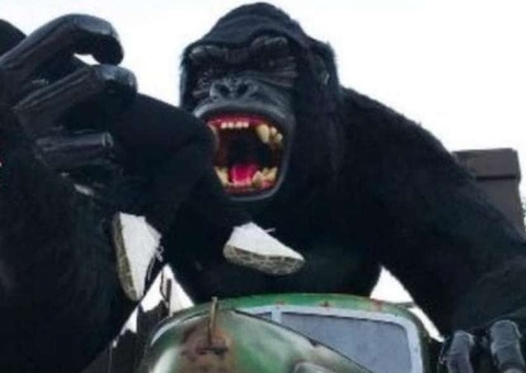 Menino que caiu de atração no Beto Carrero tem estado de saúde atualizado