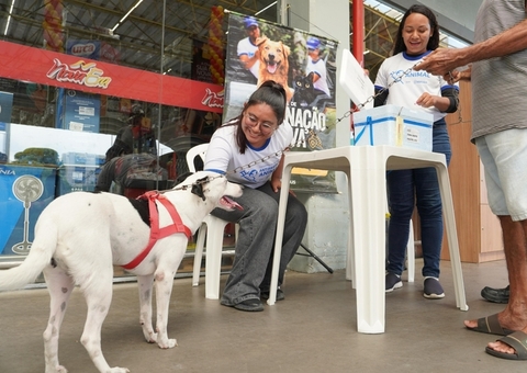 Vacinação antirrábica segue em Manaus com pontos fixos até final de dezembro