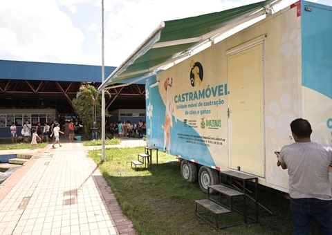 Castração de cães e gatos tem agendamento disponível hoje em Manaus