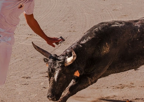 Homem morre e outro fica ferido por touro em festa de rua