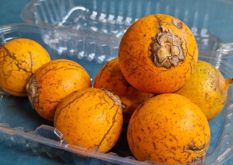 Tucumã é aliado na prevenção da disfunção erétil; conheça mais benefícios