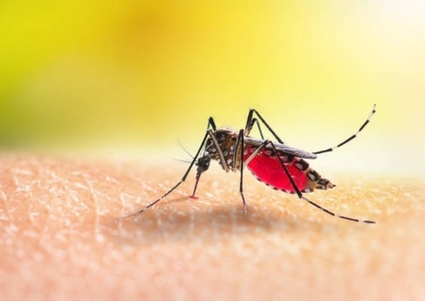 Com aumento de casos de dengue, Peru diz que vai declarar emergência sanitária